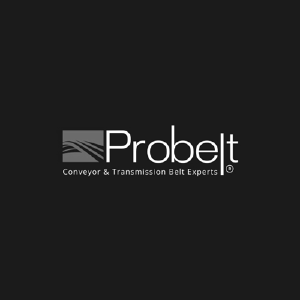 Logo 12