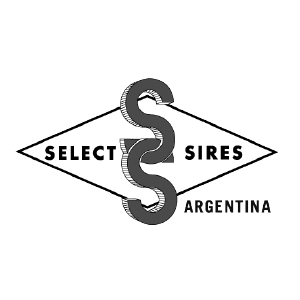 Logo 7